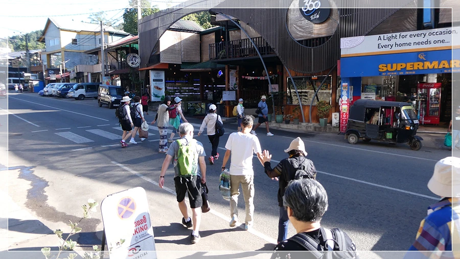 P1011667.jpg?type=w966