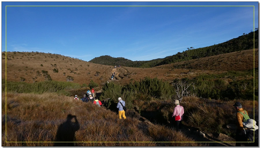 P1011477.jpg?type=w966