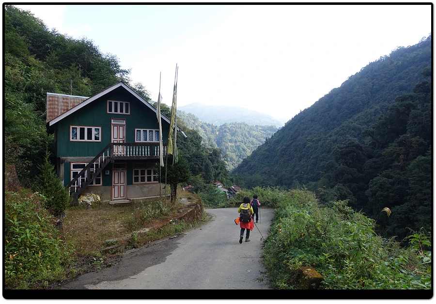 DSC01259.jpg?type=w966