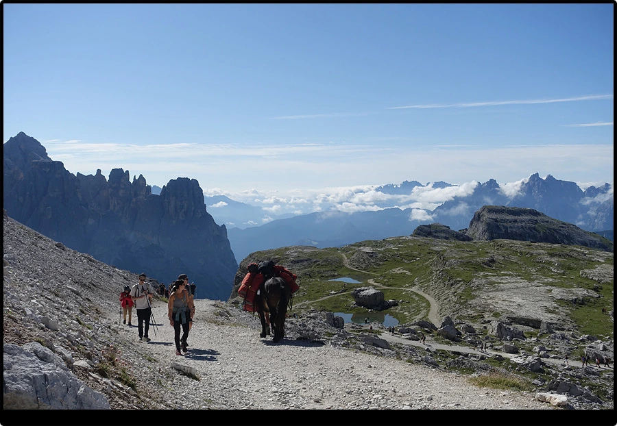 DSC00114.jpg?type=w966&jopt=2