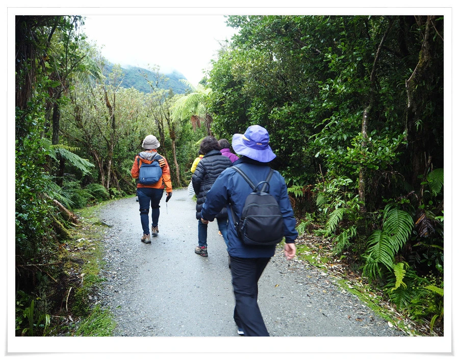 8.jpg?type=w966&jopt=2