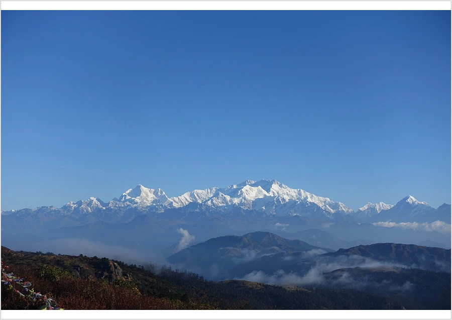 DSC01136.jpg?type=w966