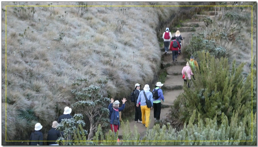 P1011470.jpg?type=w966