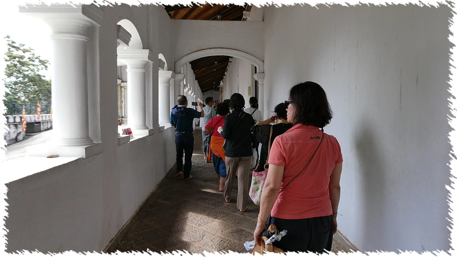 P1010891.jpg?type=w966