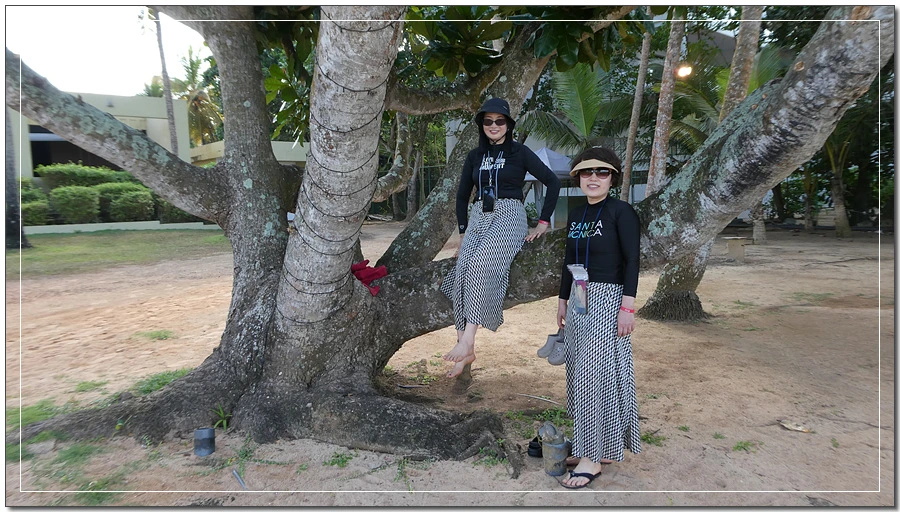 P1022136.jpg?type=w966