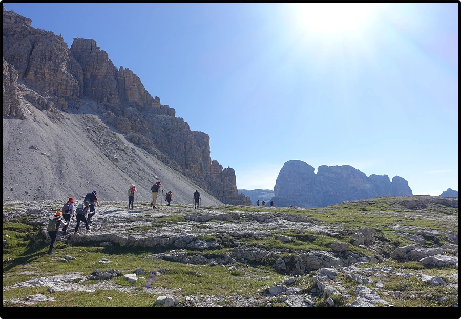 DSC00095.jpg?type=w966&jopt=2