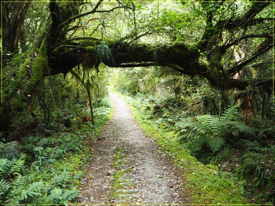 16.jpg?type=w966&jopt=2