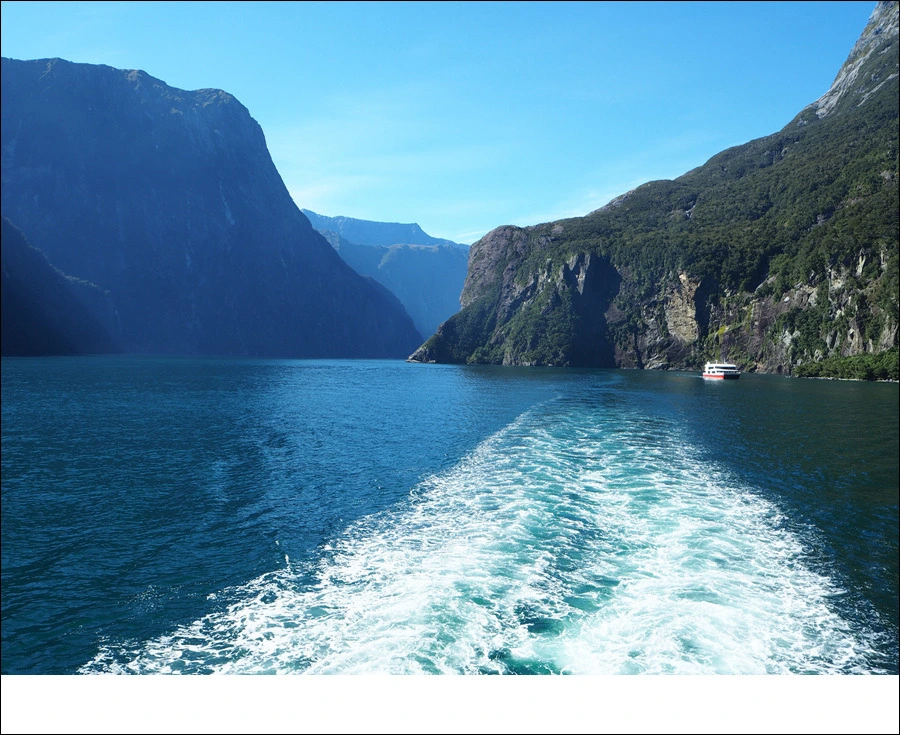 26.jpg?type=w966&jopt=2