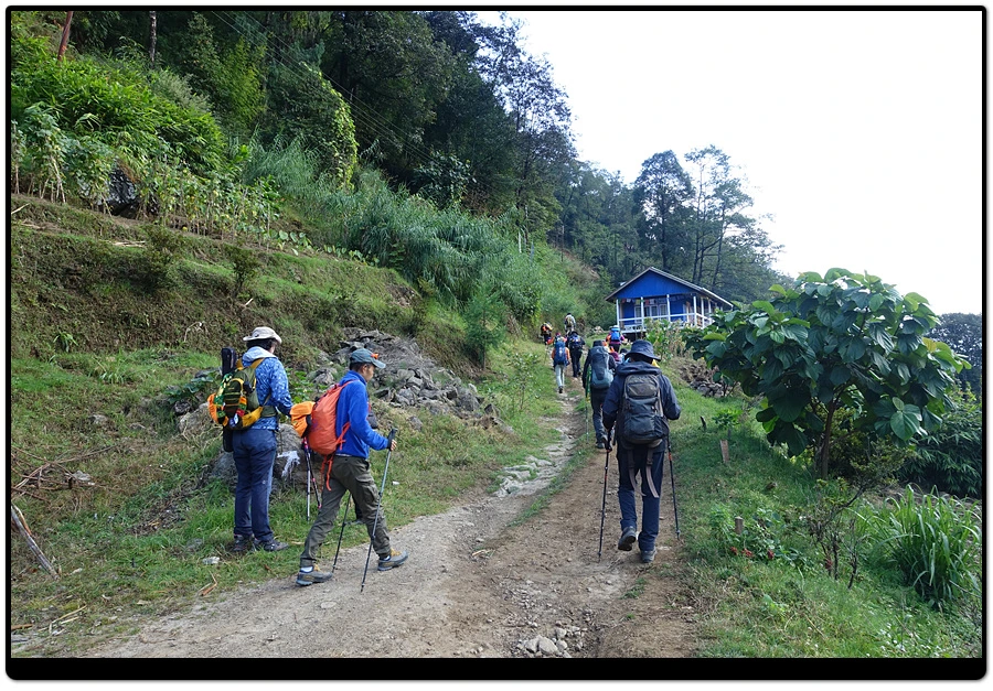 DSC01250.jpg?type=w966