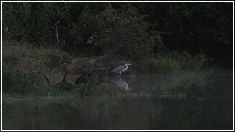 P1021920.jpg?type=w966