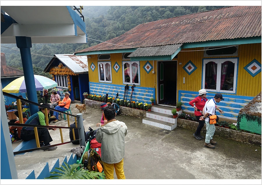 DSC01231.jpg?type=w966