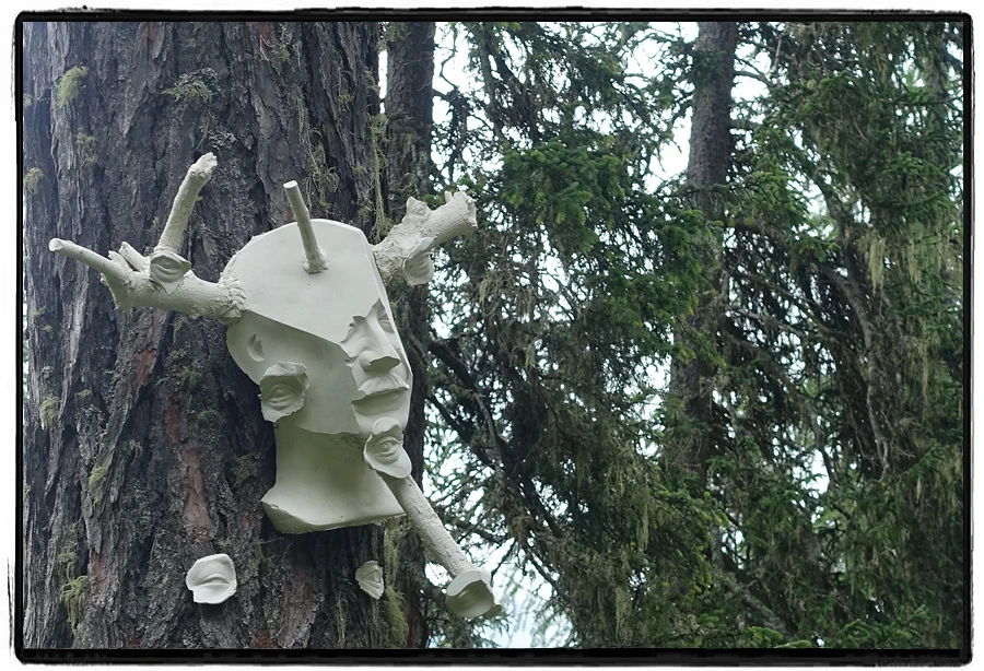 DSC00156.jpg?type=w966&jopt=2