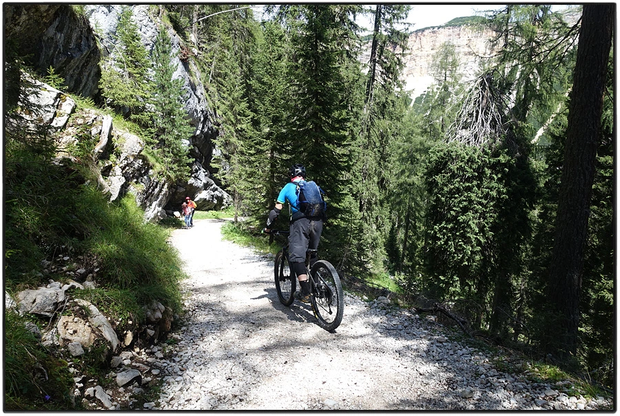 DSC00205.jpg?type=w966&jopt=2