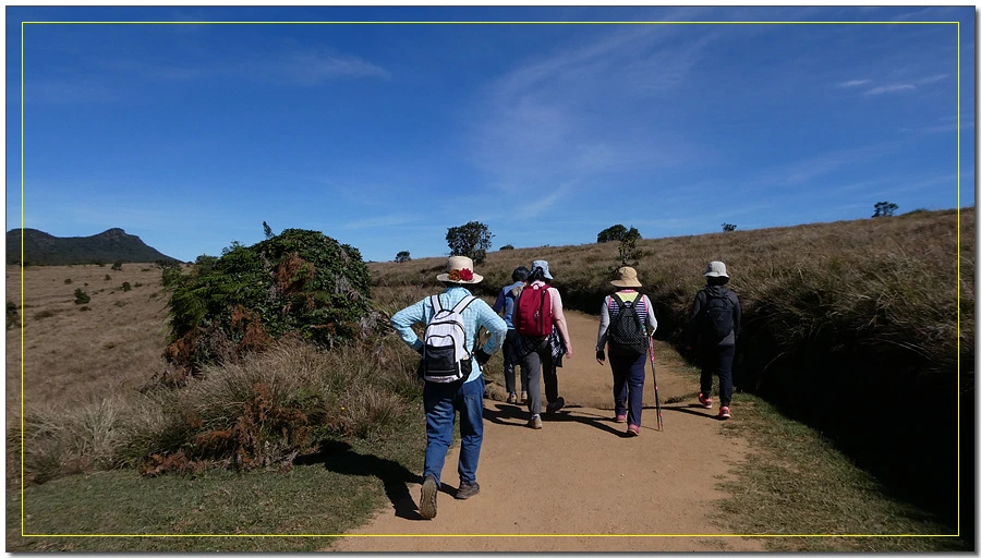 P1011541.jpg?type=w966