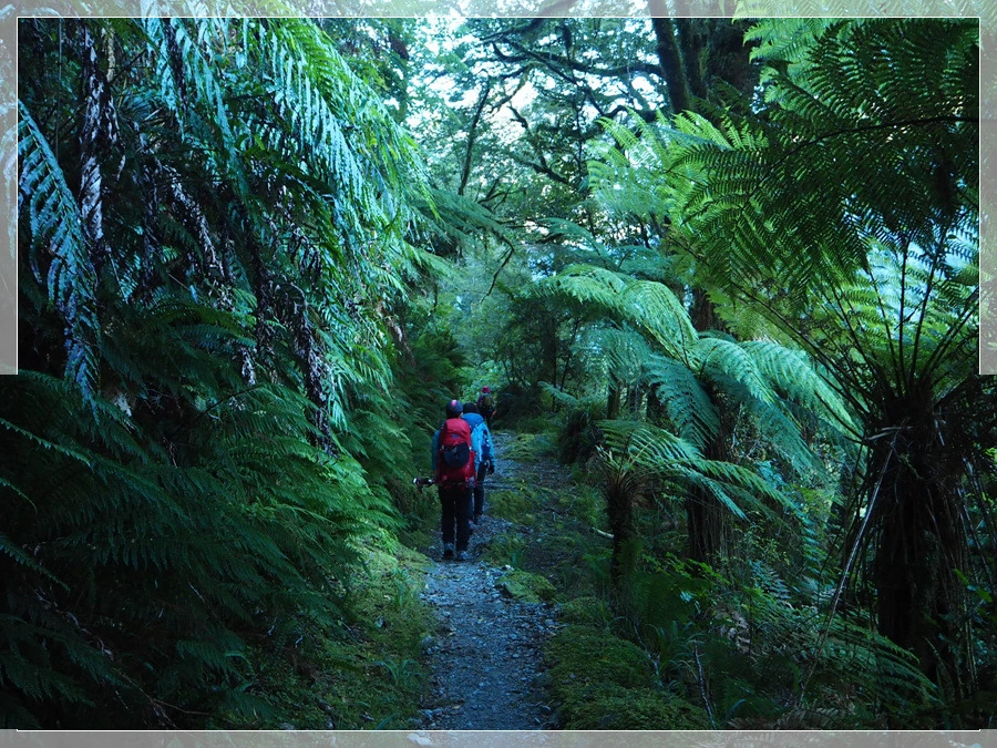 7.jpg?type=w966&jopt=2