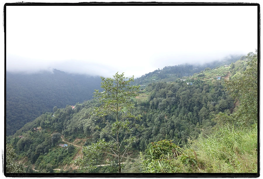 DSC00534.jpg?type=w966