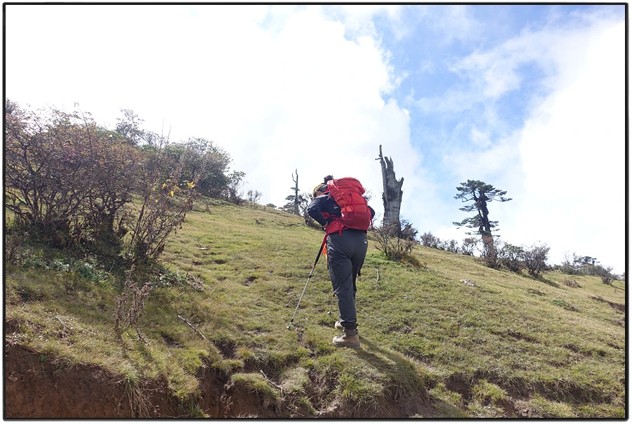 DSC01079.jpg?type=w966