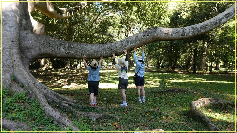 P1011265.jpg?type=w966