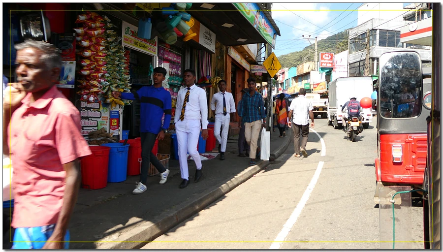 P1011572.jpg?type=w966