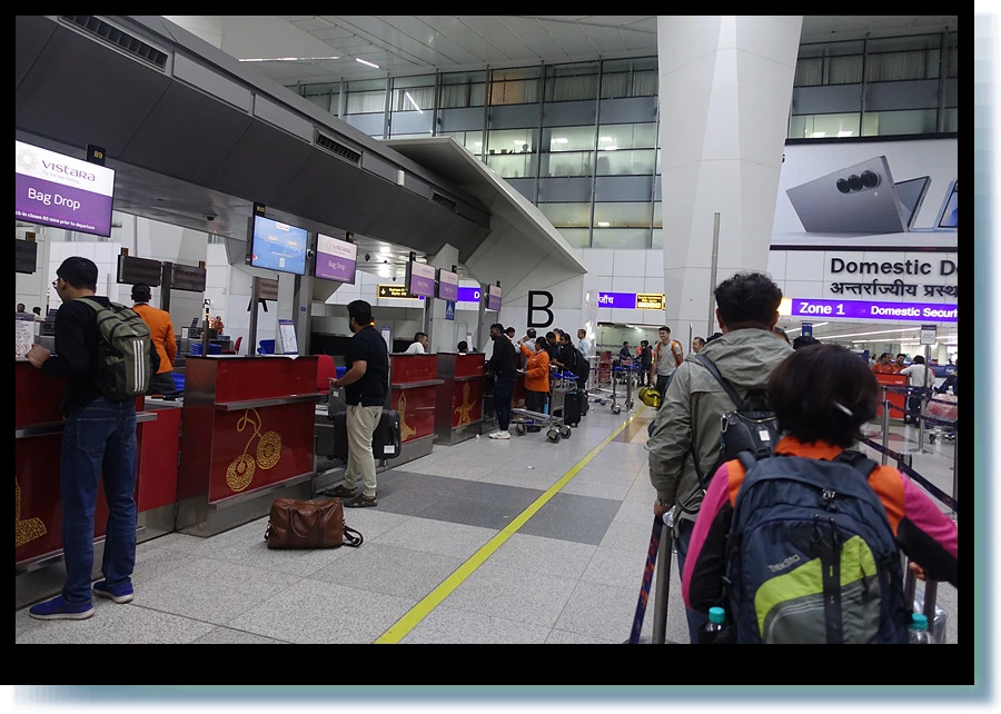 DSC00391.jpg?type=w966