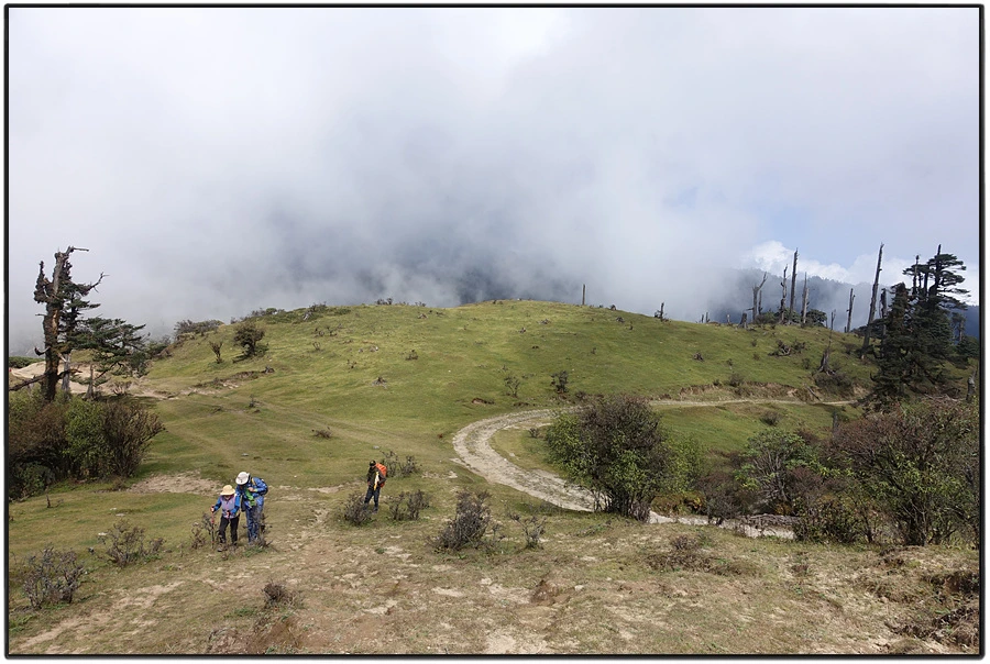 DSC01077.jpg?type=w966