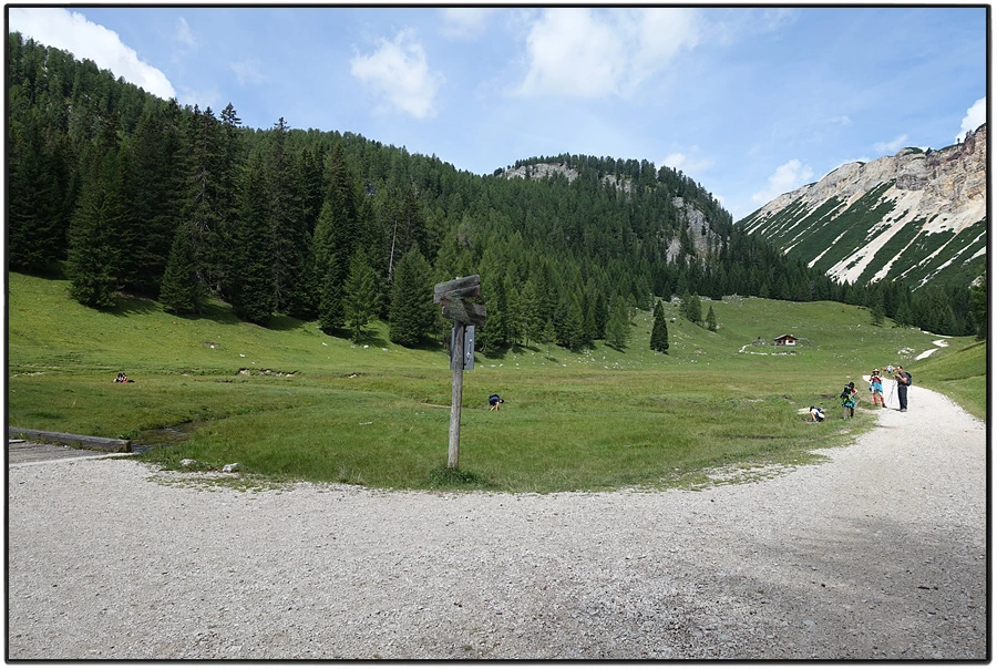 DSC00195.jpg?type=w966&jopt=2