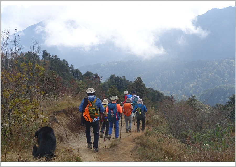 DSC01197.jpg?type=w966