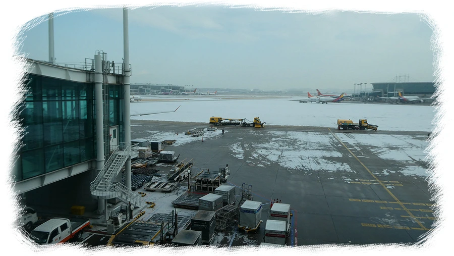 P1010759.jpg?type=w966