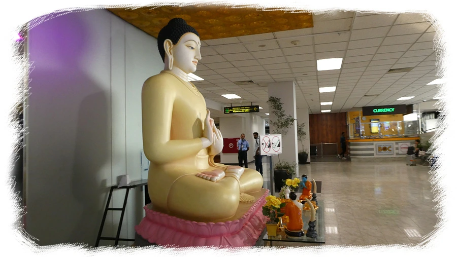 P1010775.jpg?type=w966