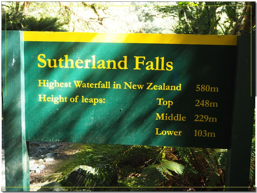 39.jpg?type=w966&jopt=2