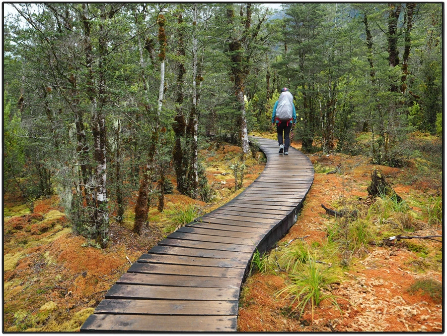 37.jpg?type=w966&jopt=2