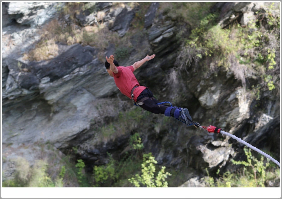 12.jpg?type=w966&jopt=2