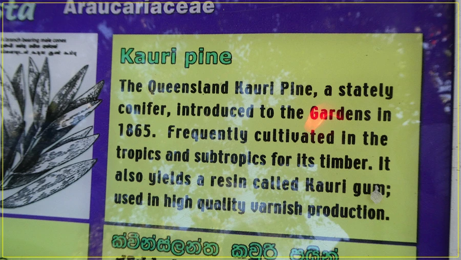 P1011318.jpg?type=w966