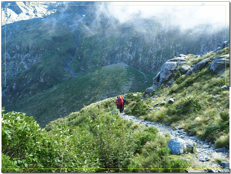 29.jpg?type=w966&jopt=2