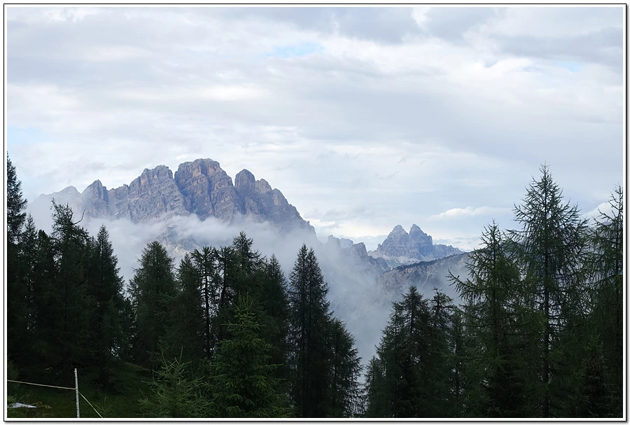 DSC00251.jpg?type=w966&jopt=2