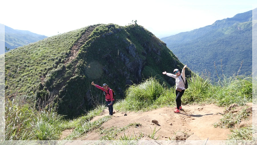 P1011753.jpg?type=w966