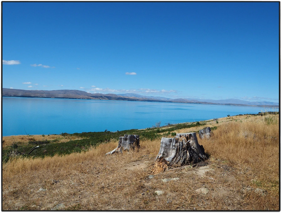 16.jpg?type=w966&jopt=2