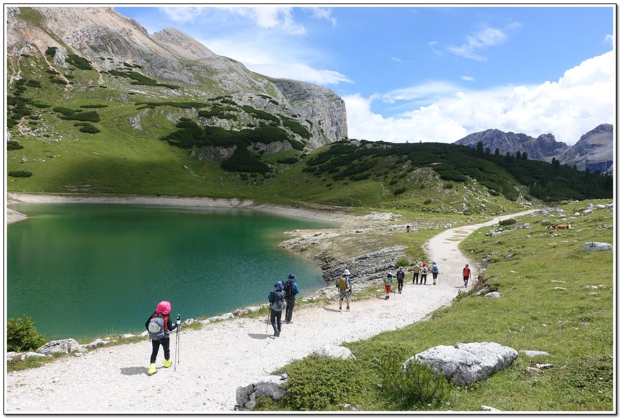 DSC00209.jpg?type=w966&jopt=2