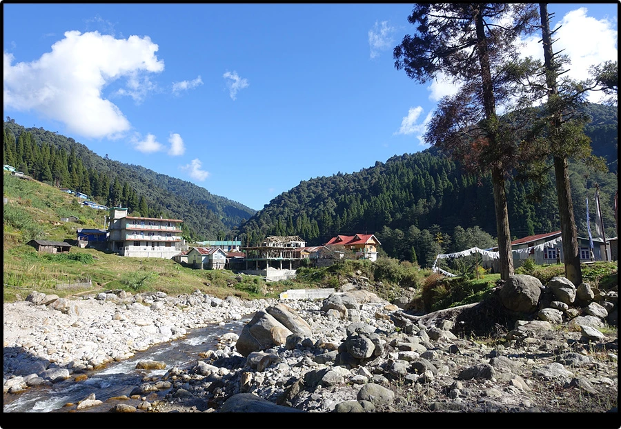 DSC00753.jpg?type=w966