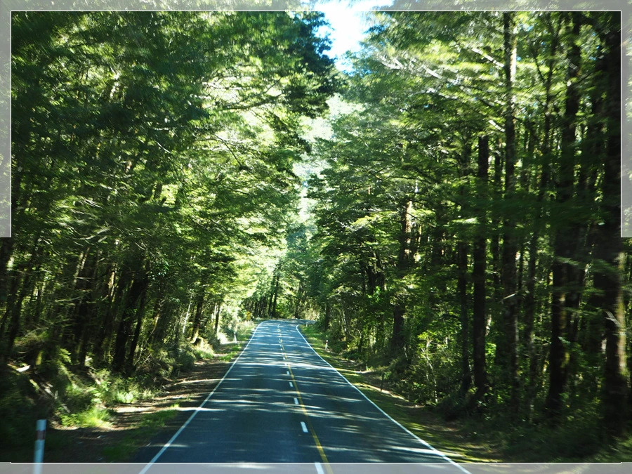 40.jpg?type=w966&jopt=2