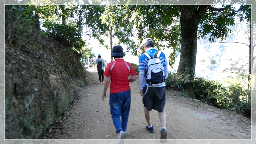 P1011684.jpg?type=w966