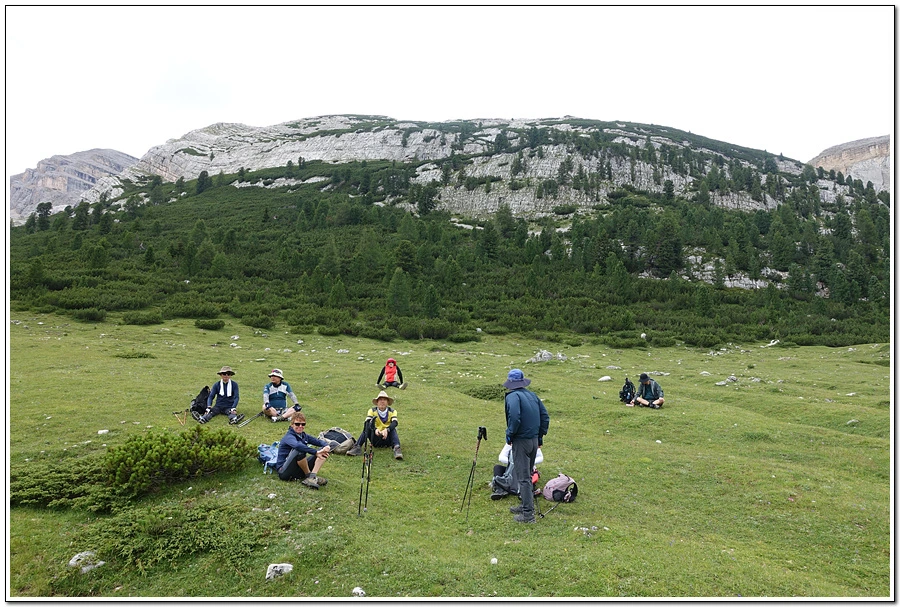 DSC00225.jpg?type=w966&jopt=2