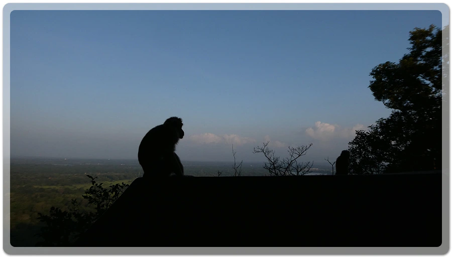 P1011109.jpg?type=w966