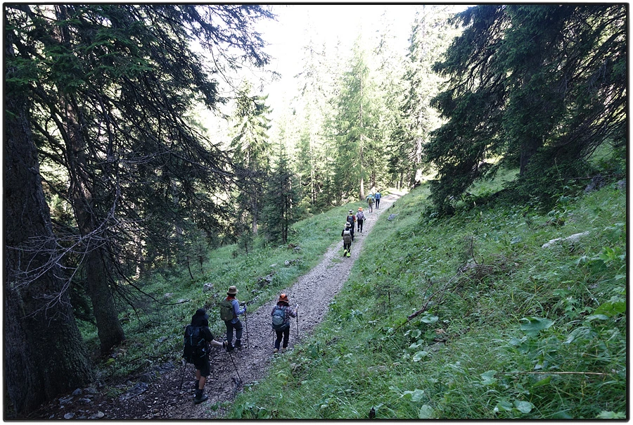 DSC00159.jpg?type=w966&jopt=2