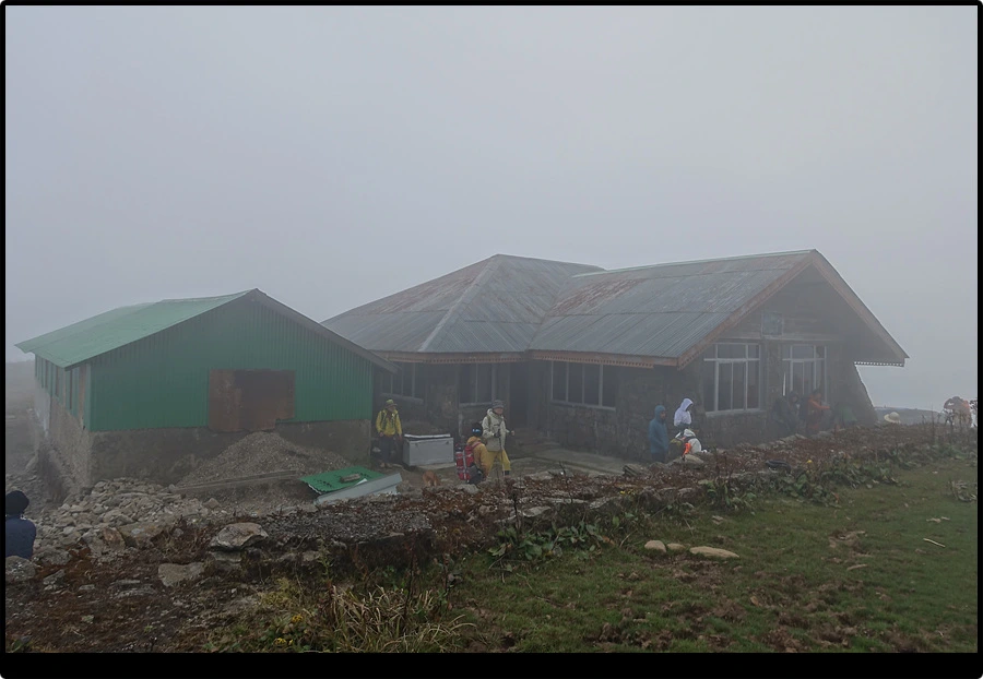 DSC00793.jpg?type=w966