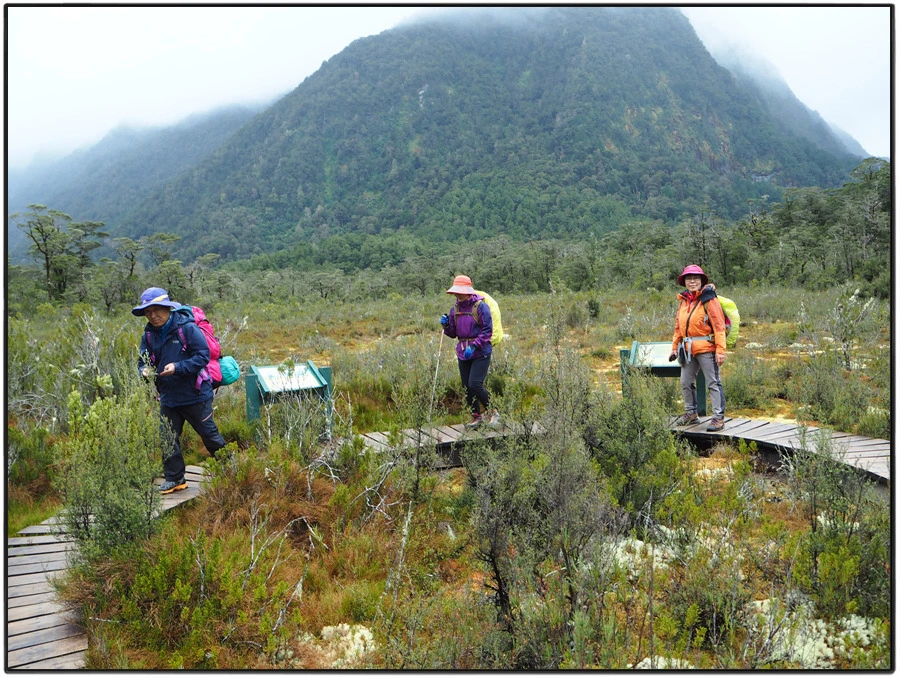 39.jpg?type=w966&jopt=2