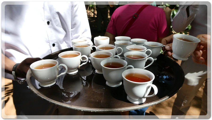 P1011145.jpg?type=w966