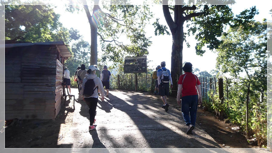 P1011673.jpg?type=w966