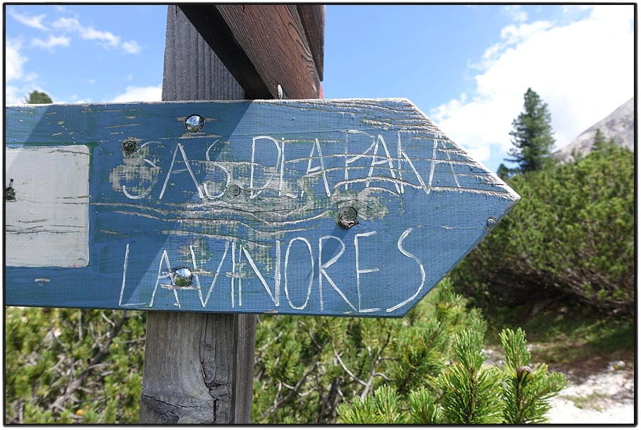 DSC00213.jpg?type=w966&jopt=2