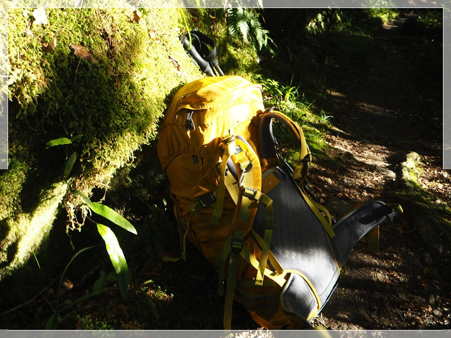 9.jpg?type=w966&jopt=2